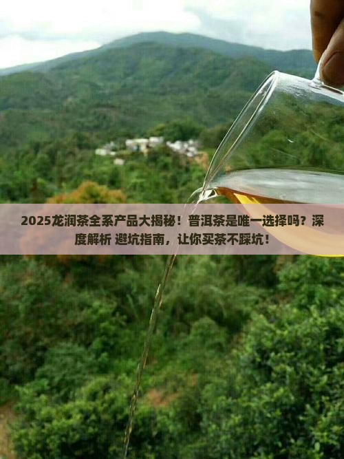 龙润茶只有普洱茶吗