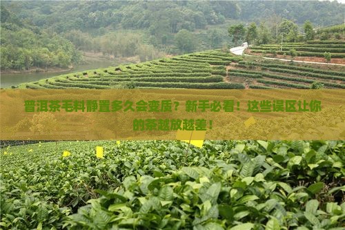 普洱茶毛料静置多久会变质