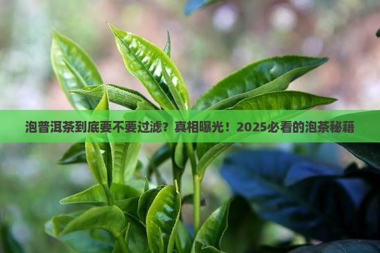 泡普洱茶需要过滤吗