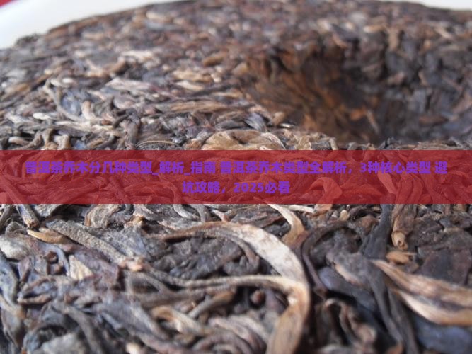 普洱茶乔木分几种类型