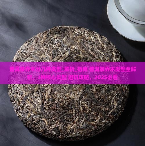 普洱茶乔木分几种类型