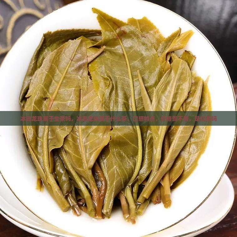 冰岛龙珠属于生茶吗