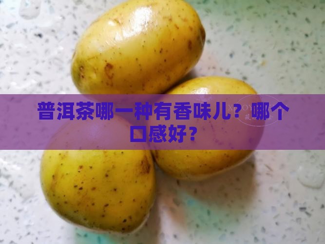 普洱茶哪一种有香味儿