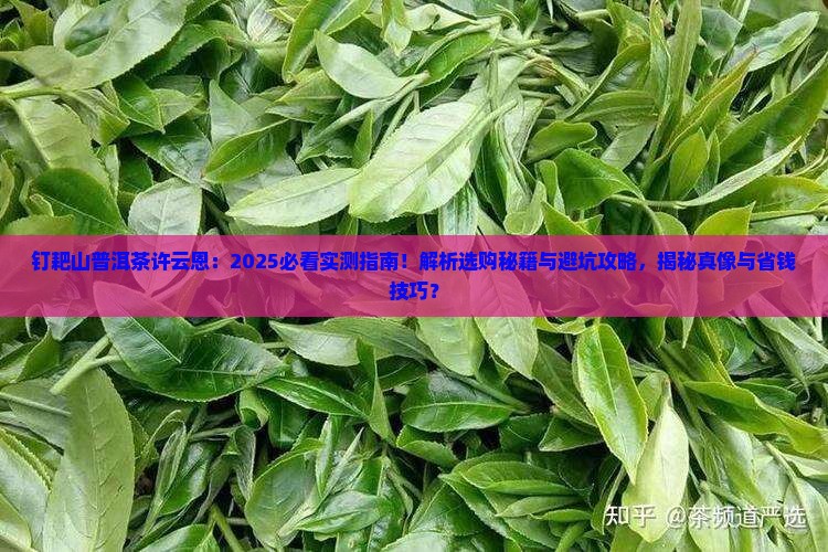 钉耙山普洱茶许云恩
