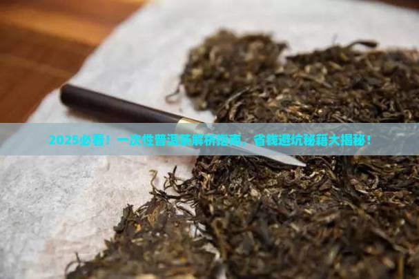 一次性普洱茶讲解
