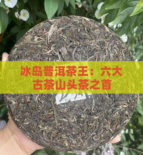 六大古茶山头茶王冰岛