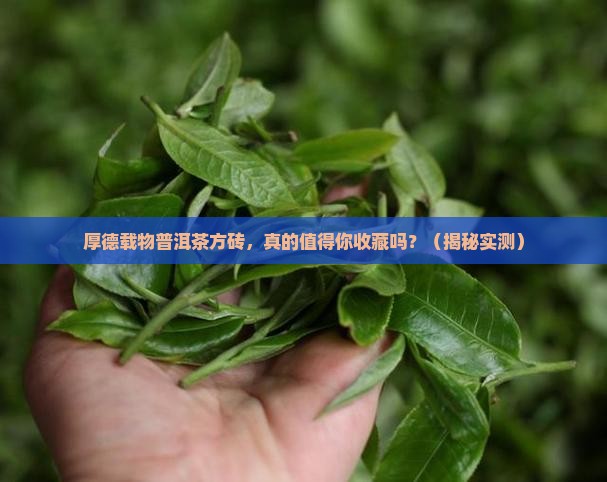 厚德载物普洱茶方砖