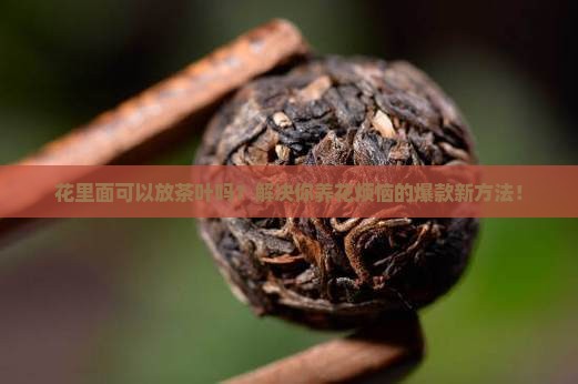 花里面可以放茶叶吗