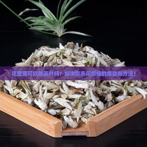 花里面可以放茶叶吗