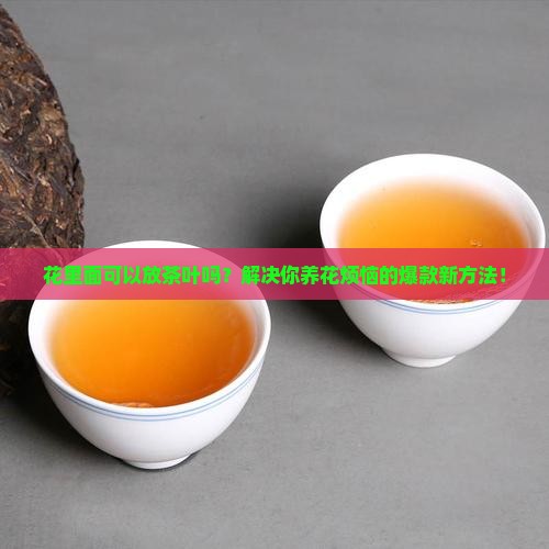 花里面可以放茶叶吗
