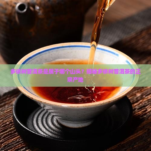 多依树普洱茶是属于哪个山头