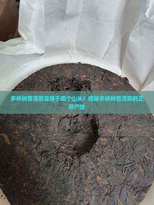 多依树普洱茶是属于哪个山头