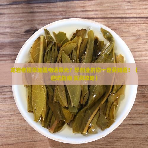龙岩老班章品牌加盟电话