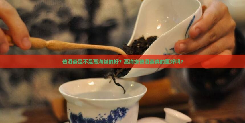 普洱茶是不是高海拔的好