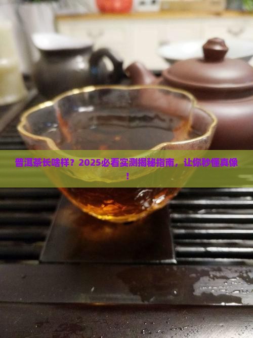 普洱茶长啥样子