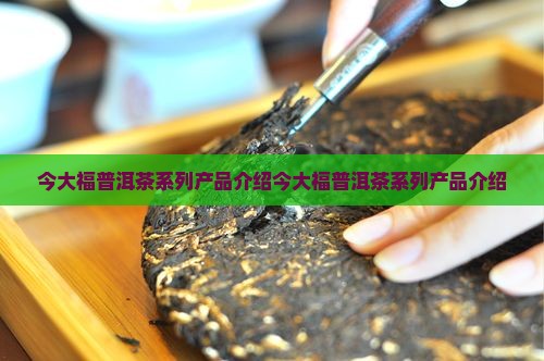 今大福普洱茶系列产品介绍