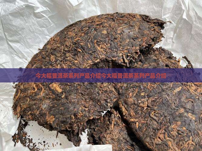 今大福普洱茶系列产品介绍