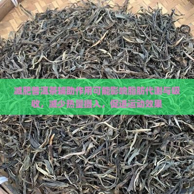 减肥喝熟普洱茶