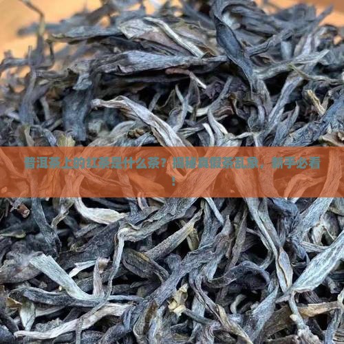 普洱茶上的红茶是什么茶