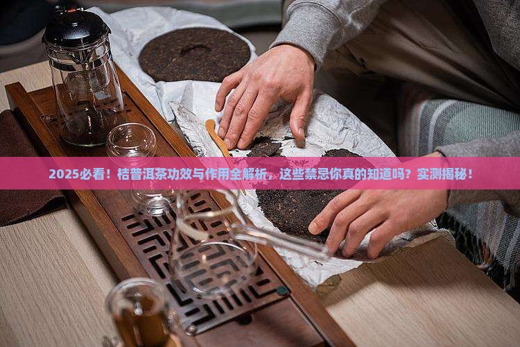 桔普洱茶的功效与作用禁忌