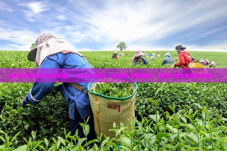 自己家有茶叶怎么找销路
