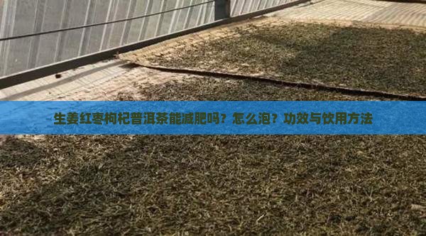 生姜红枣枸杞普洱茶