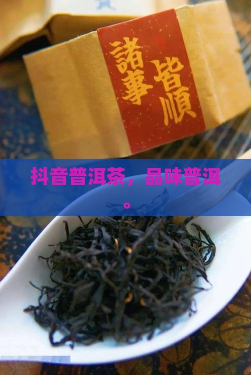喝普洱茶抖音版