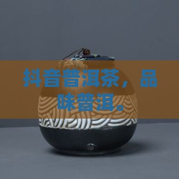 喝普洱茶抖音版