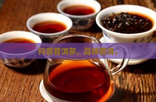 喝普洱茶抖音版