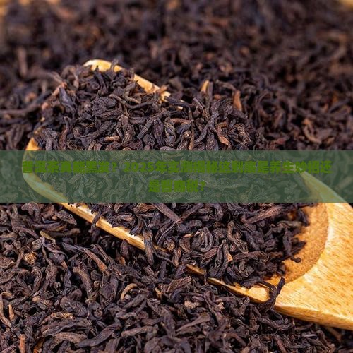 普洱茶可以把头发变黑吗 普洱茶可以把头发变黑吗