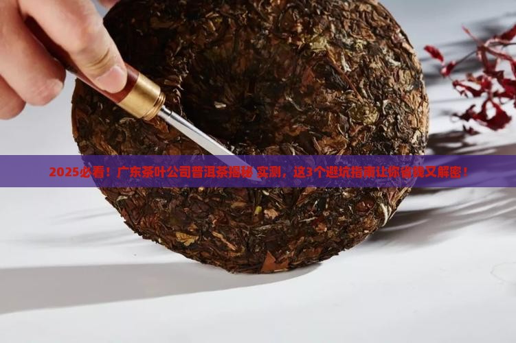 广东省茶叶公司普洱茶