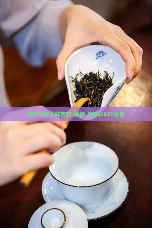 茶叶水解不解药效