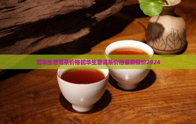 韶华生普洱茶价格