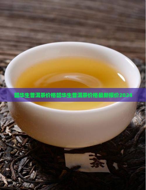 韶华生普洱茶价格