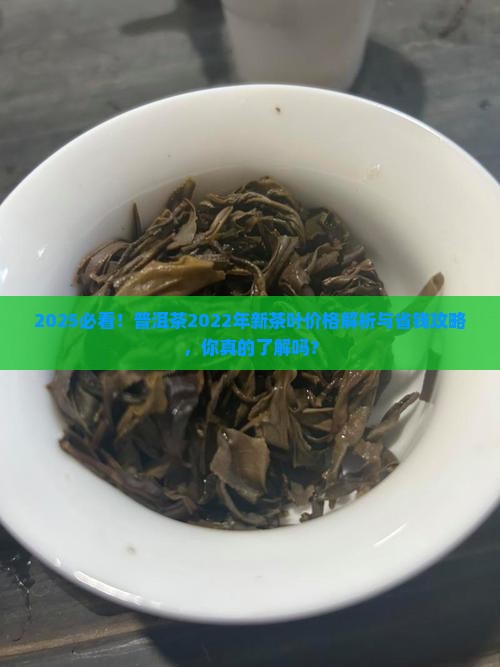 普洱茶2022年新茶叶价格