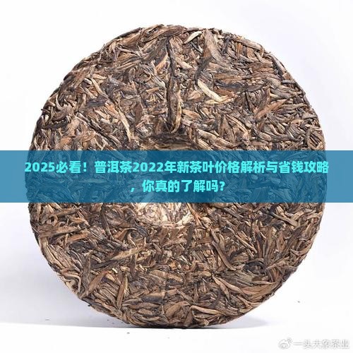 普洱茶2022年新茶叶价格