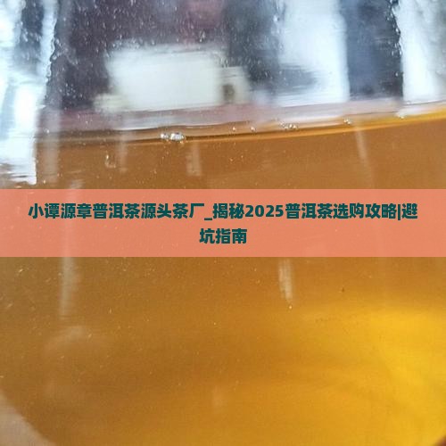 小谭源章普洱茶源头茶厂