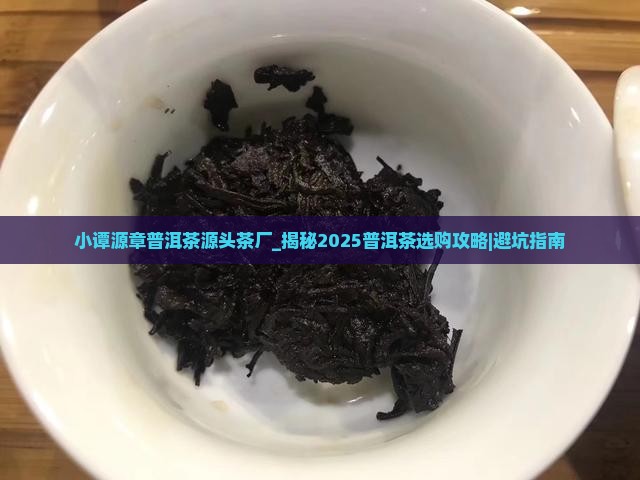小谭源章普洱茶源头茶厂