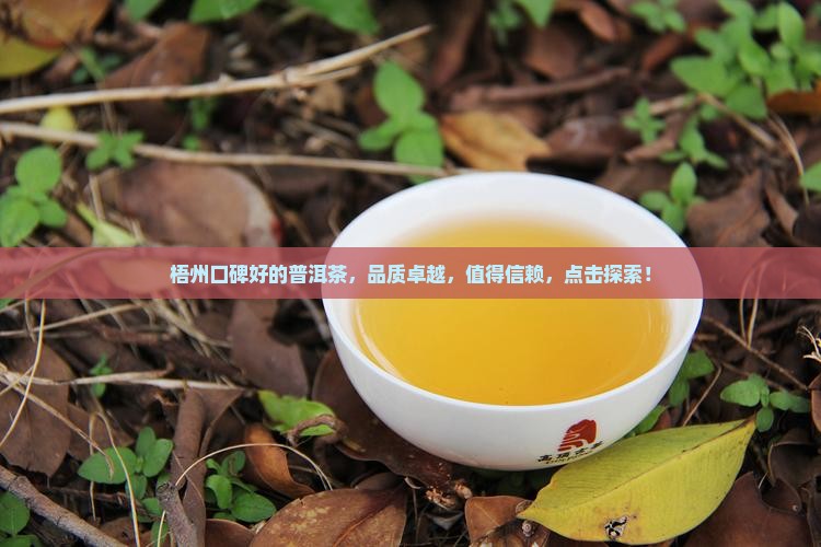 梧州口碑好的普洱茶