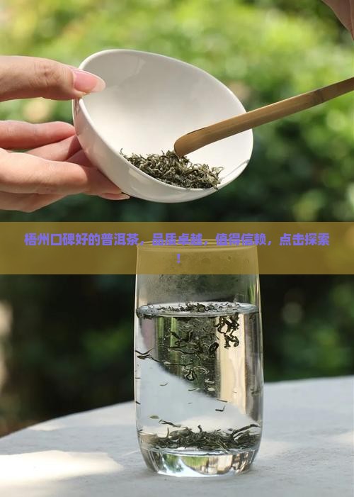 梧州口碑好的普洱茶