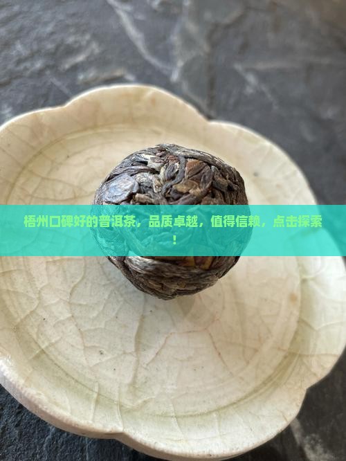 梧州口碑好的普洱茶