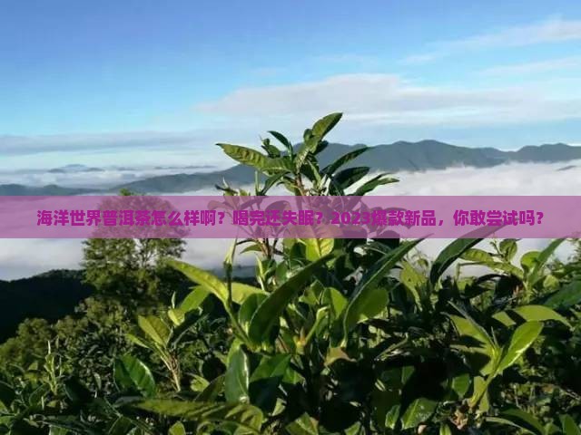 海洋世界普洱茶怎么样啊
