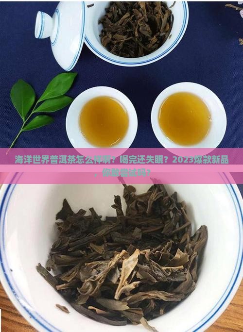 海洋世界普洱茶怎么样啊