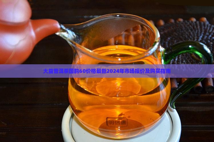 大益普洱茶国韵60价格