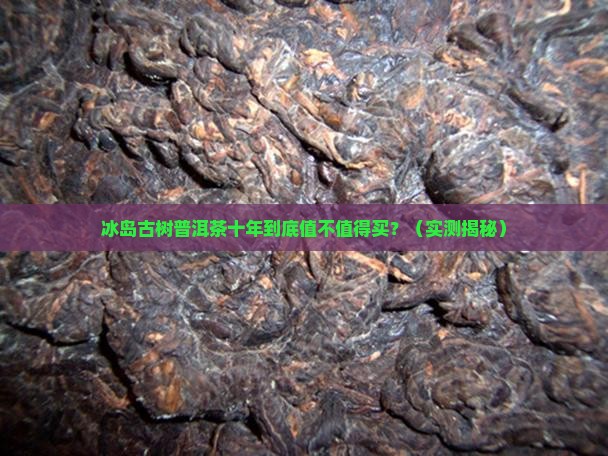 冰岛古树普洱茶十年