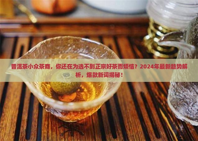 普洱茶小众茶商