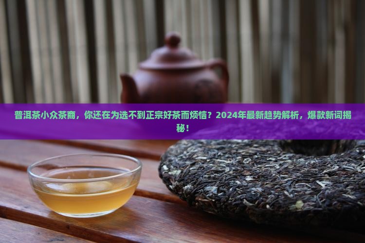 普洱茶小众茶商