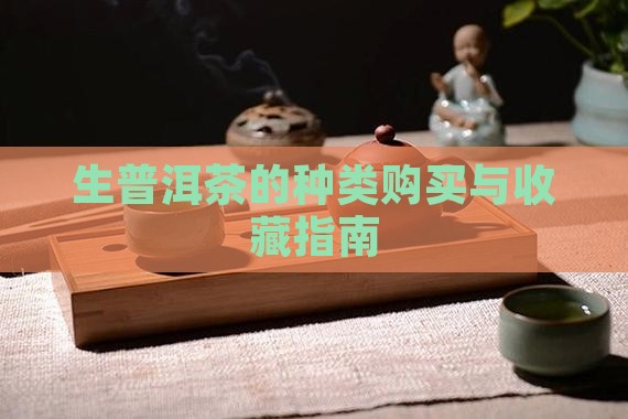 生普洱茶的种类购买藏