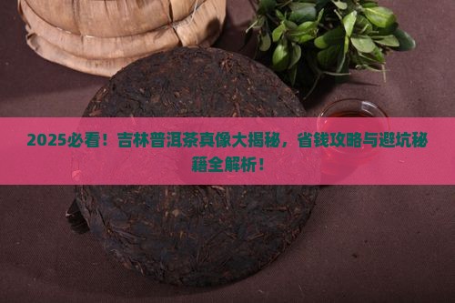 吉林普洱茶哪里不错
