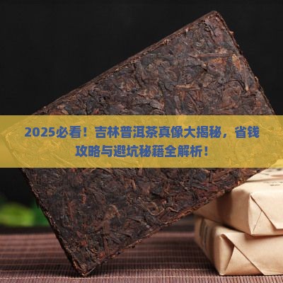 吉林普洱茶哪里不错